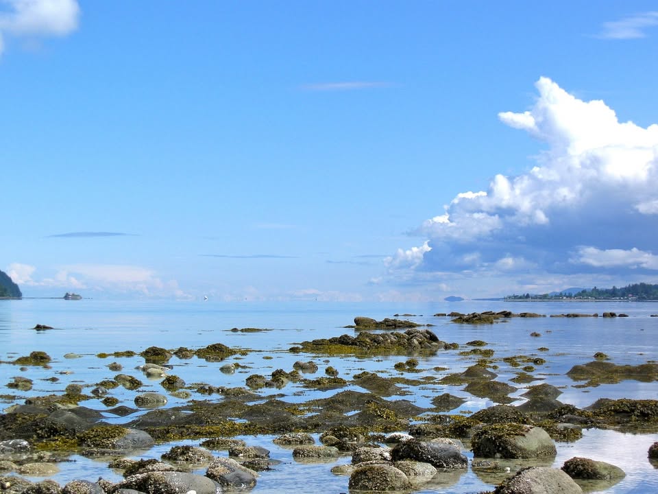 Stenet kyst under en klar blå himmel med skyer i horisonten